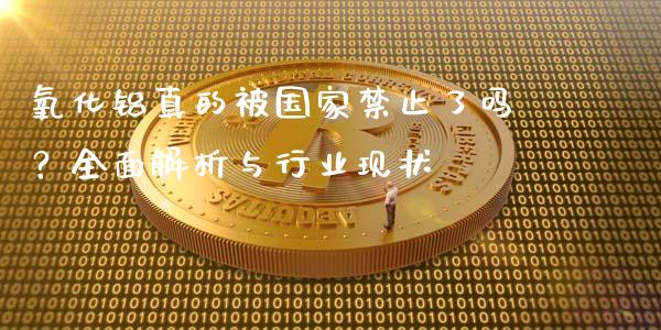 氧化铝真的被国家禁止了吗？全面解析与行业现状_https://www.qdlswl.com_基金_第1张