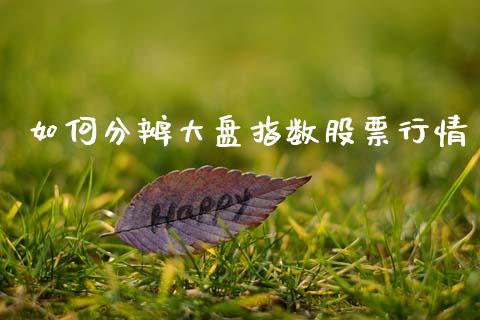 如何分辨大盘指数股票行情_https://www.qdlswl.com_股票_第1张