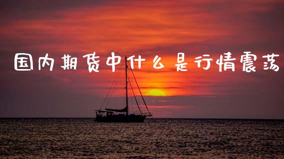 国内期货中什么是行情震荡_https://www.qdlswl.com_期货_第1张