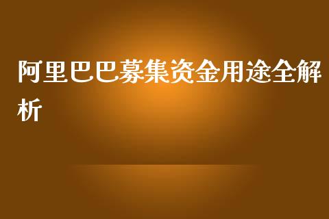 阿里巴巴募集资金用途全解析_股指_第1张_青岛财经网 阿里巴巴募集资金用途全解析_https://www.qdlswl.com_股指_第1张