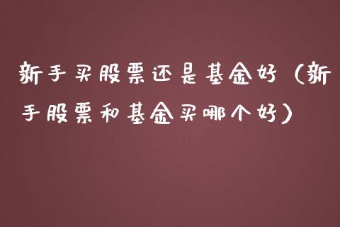 新手买股票还是基金好（新手股票和基金买哪个好）_https://www.qdlswl.com_股票_第1张