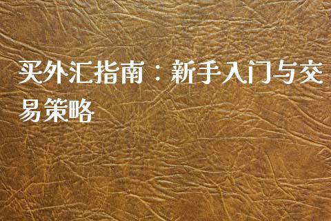 买外汇指南:新手入门与交易策略_外盘_第1张_青岛财经网 买外汇指南:新手入门与交易策略_https://www.qdlswl.com_外盘_第1张