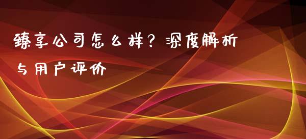 臻享公司怎么样？深度解析与用户评价_https://www.qdlswl.com_理财_第1张