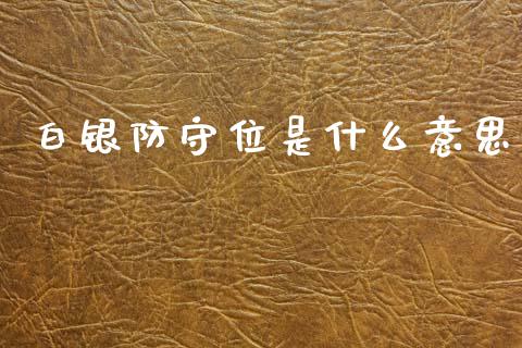 白银防守位是什么意思_https://www.qdlswl.com_外盘_第1张