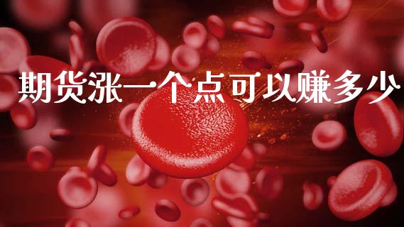 期货涨一个点可以赚多少_https://www.qdlswl.com_股指_第1张