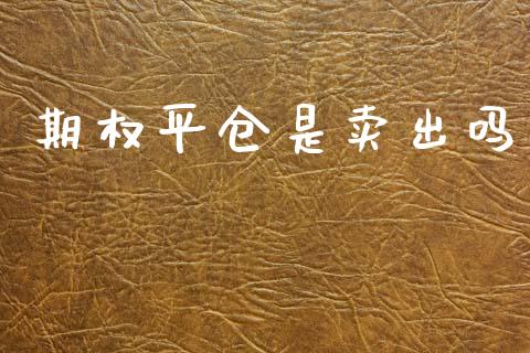 期权平仓是卖出吗_https://www.qdlswl.com_外盘_第1张