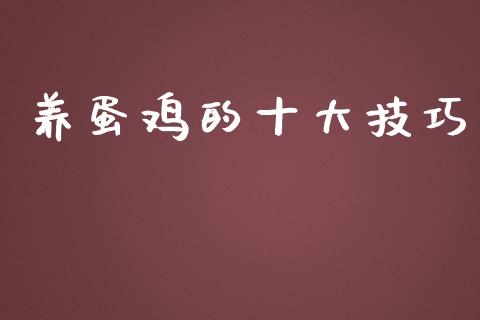 养蛋鸡的十大技巧_https://www.qdlswl.com_股指_第1张