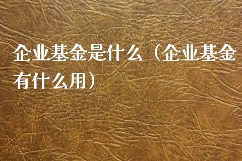 企业基金是什么（企业基金有什么用）_https://www.qdlswl.com_基金_第1张