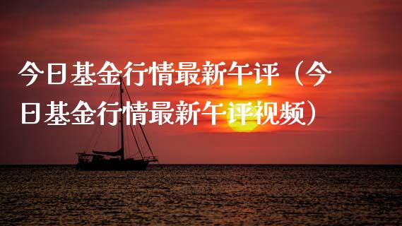 今日基金行情最新午评（今日基金行情最新午评视频）_https://www.qdlswl.com_基金_第1张