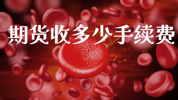 期货收多少手续费_https://www.qdlswl.com_期货_第1张