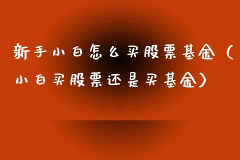 新手小白怎么买股票基金（小白买股票还是买基金）_https://www.qdlswl.com_内盘_第1张