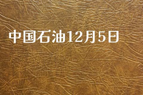 中国石油12月5日_https://www.qdlswl.com_直播_第1张