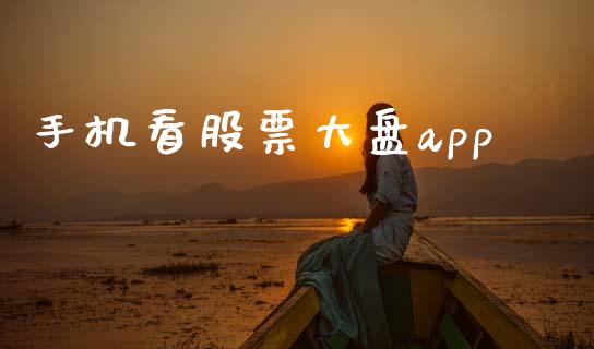 手机看股票大盘app_https://www.qdlswl.com_股指_第1张