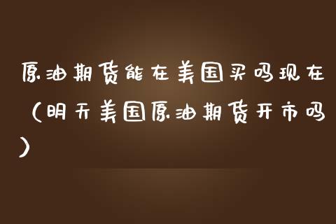 原油期货能在美国买吗现在（明天美国原油期货开市吗）_https://www.qdlswl.com_股指_第1张