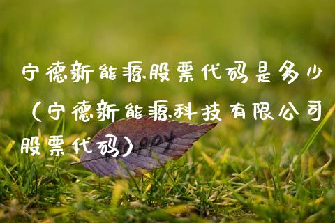宁德新能源股票代码是多少（宁德新能源科技有限公司股票代码）_https://www.qdlswl.com_外盘_第1张