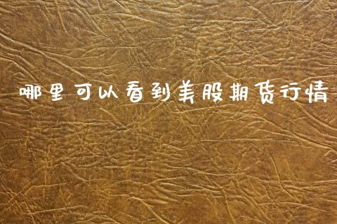 哪里可以看到美股期货行情_https://www.qdlswl.com_期货_第1张