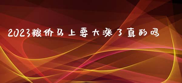 2023粮价马上要大涨了真的吗_https://www.qdlswl.com_期货_第1张