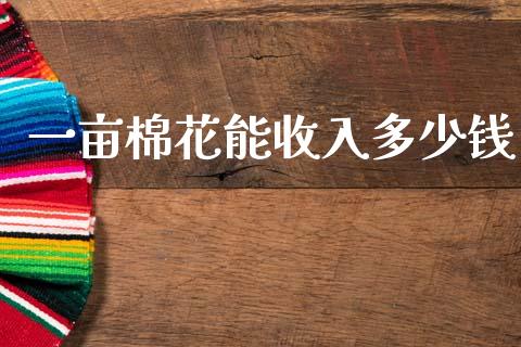 一亩棉花能收入多少钱_https://www.qdlswl.com_股指_第1张