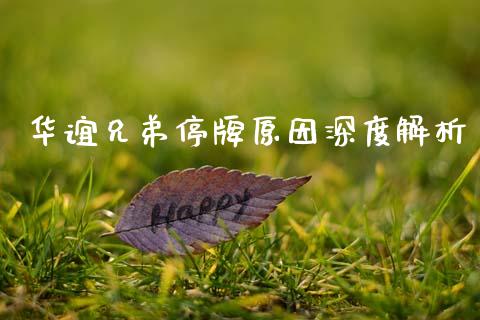 华谊兄弟停牌原因深度解析_https://www.qdlswl.com_直播_第1张
