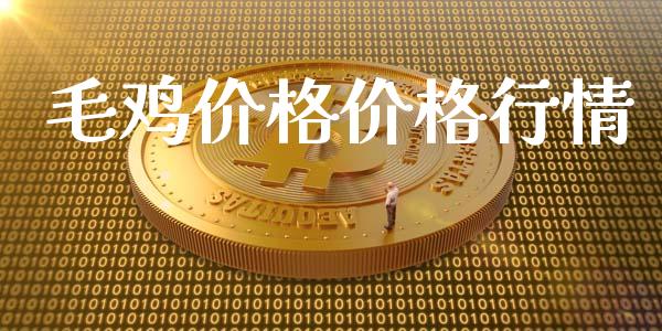 毛鸡价格价格行情_https://www.qdlswl.com_股指_第1张