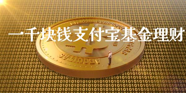 一千块钱支付宝基金理财_https://www.qdlswl.com_理财_第1张