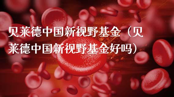 贝莱德中国新视野基金（贝莱德中国新视野基金好吗）_https://www.qdlswl.com_基金_第1张