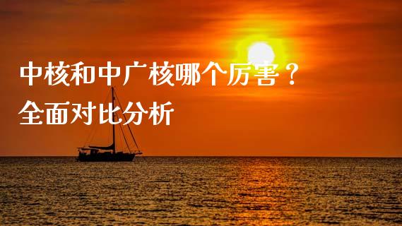 中核和中广核哪个厉害？ 全面对比分析_https://www.qdlswl.com_基金_第1张