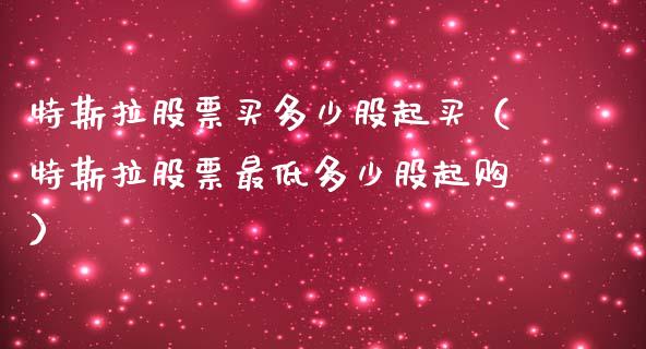 特斯拉股票买多少股起买（特斯拉股票最低多少股起购）_https://www.qdlswl.com_外盘_第1张
