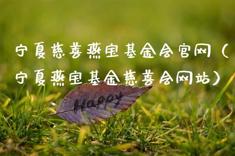 宁夏慈善燕宝基金会官网（宁夏燕宝基金慈善会网站）_https://www.qdlswl.com_理财_第1张
