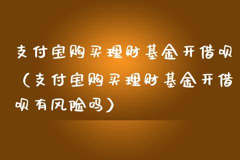支付宝购买理财基金开借呗（支付宝购买理财基金开借呗有风险吗）_https://www.qdlswl.com_基金_第1张