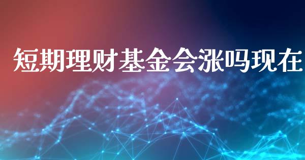 短期理财基金会涨吗现在_https://www.qdlswl.com_理财_第1张