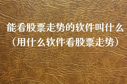 能看股票走势的软件叫什么（用什么软件看股票走势）_https://www.qdlswl.com_内盘_第1张