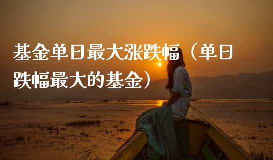 基金单日最大涨跌幅（单日跌幅最大的基金）_https://www.qdlswl.com_理财_第1张