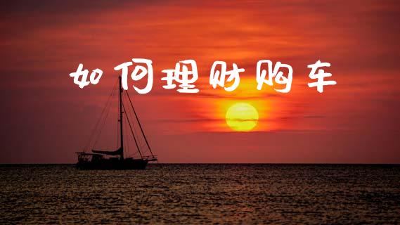 如何理财购车_https://www.qdlswl.com_期货_第1张