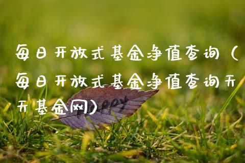 每日开放式基金净值查询（每日开放式基金净值查询天天基金网）_https://www.qdlswl.com_理财_第1张