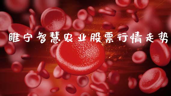 睢宁智慧农业股票行情走势_https://www.qdlswl.com_外盘_第1张