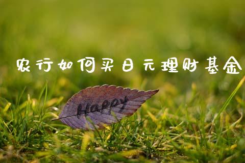 农行如何买日元理财基金_https://www.qdlswl.com_理财_第1张