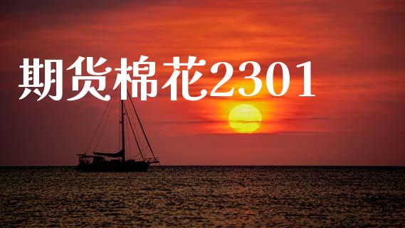 期货棉花2301_https://www.qdlswl.com_期货_第1张