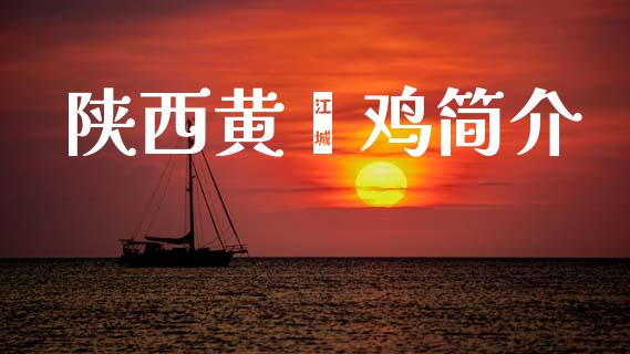 陕西黄焖鸡简介_https://www.qdlswl.com_股指_第1张