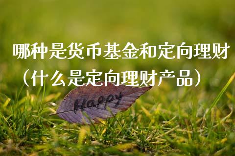 哪种是货币基金和定向理财（什么是定向理财产品）_https://www.qdlswl.com_基金_第1张