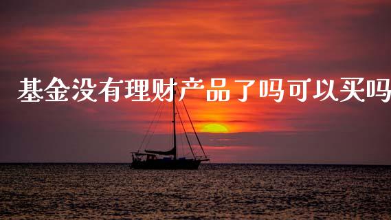基金没有理财产品了吗可以买吗_https://www.qdlswl.com_基金_第1张