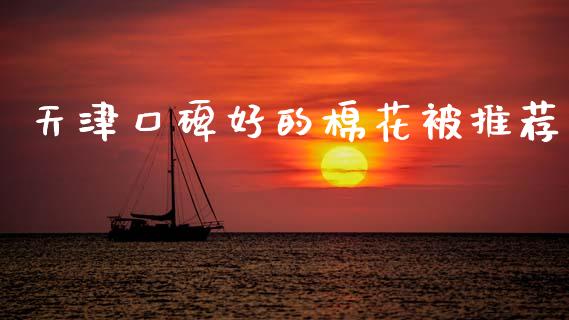 天津口碑好的棉花被推荐_https://www.qdlswl.com_股指_第1张