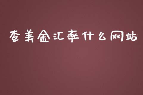 查美金汇率什么网站_https://www.qdlswl.com_期货_第1张