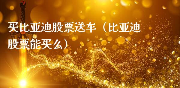 买比亚迪股票送车（比亚迪股票能买么）_https://www.qdlswl.com_股票_第1张