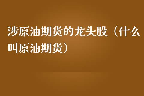 涉原油期货的龙头股（什么叫原油期货）_https://www.qdlswl.com_股指_第1张