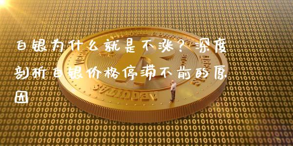 白银为什么就是不涨？深度剖析白银价格停滞不前的原因_https://www.qdlswl.com_理财_第1张