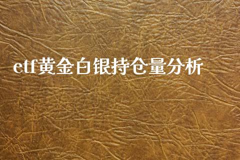 etf黄金白银持仓量分析_https://www.qdlswl.com_股指_第1张