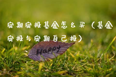 定期定投基金怎么买（基金定投与定期自己投）_https://www.qdlswl.com_理财_第1张