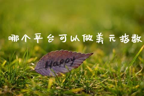 哪个平台可以做美元指数_https://www.qdlswl.com_股指_第1张