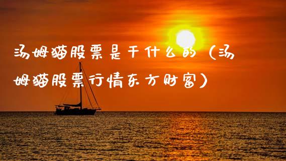 汤姆猫股票是干什么的（汤姆猫股票行情东方财富）_https://www.qdlswl.com_股票_第1张